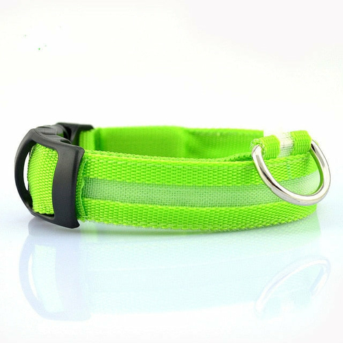 product-image-1426417613_fe2613b3-1e29-4398-a6be-30bf087b2a52-1.jpg