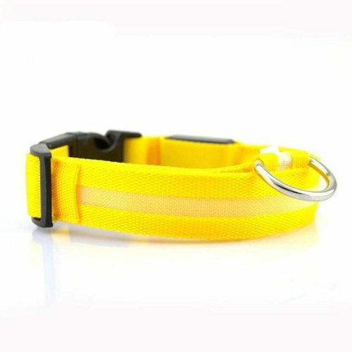 product-image-1426417617_21a82127-9992-4270-8de7-d15aa206ed4b-1.jpg